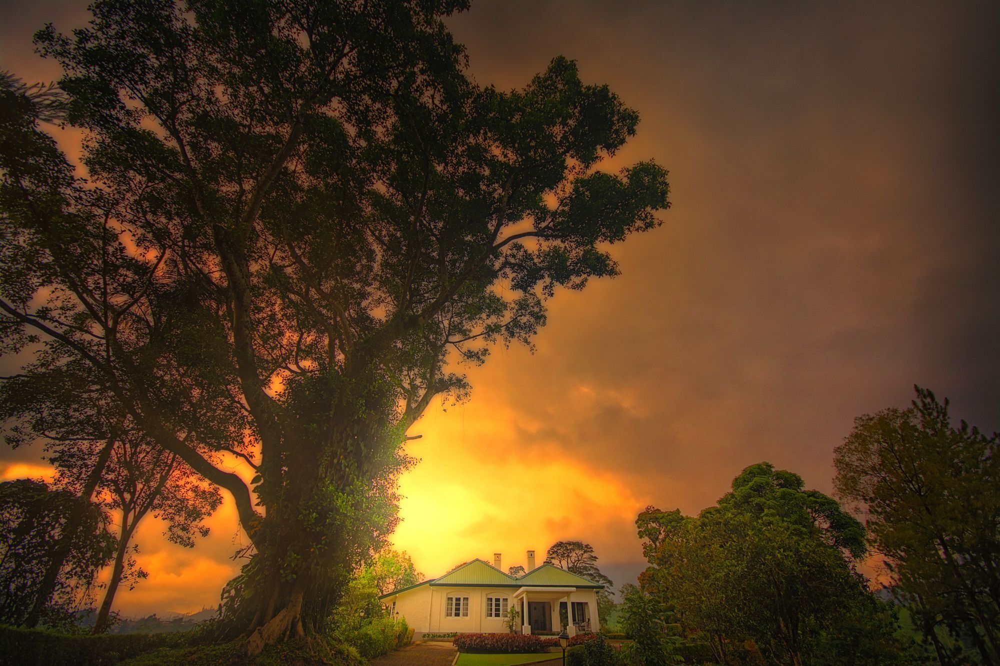 Craig Appin Bungalow Dickoya Dış mekan fotoğraf